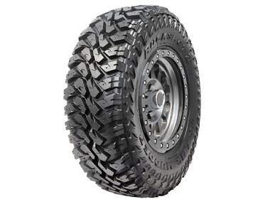 Автомобильная шина грязевая MAXXIS Bighorn MT764 / Mudder Buckshot II 315/75R16 127/124K